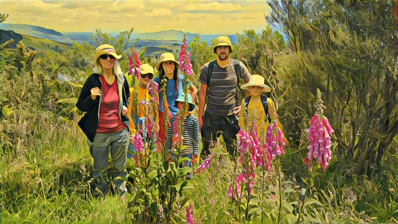 2020 12 31 Foxglove